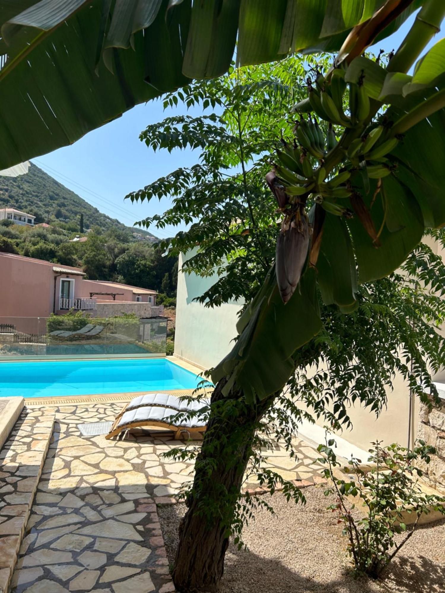 Villa Saint George นิเกียนา ภายนอก รูปภาพ
